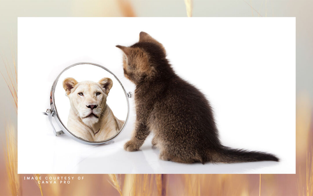 Cat looking at a lion in the mirror
